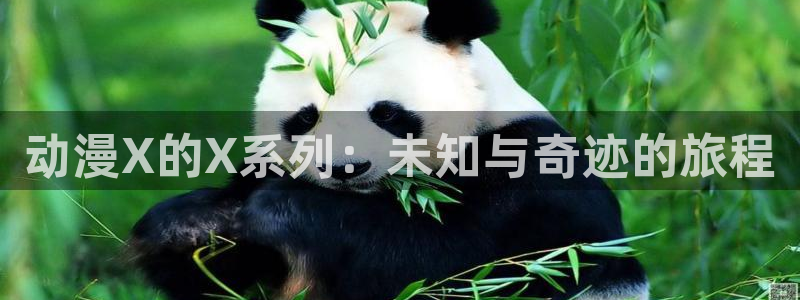 age动漫动漫新番：动漫X的X系列：未知与奇迹的旅程