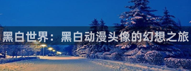 age动漫入口官网：黑白世界：黑白动漫头像的幻想之旅